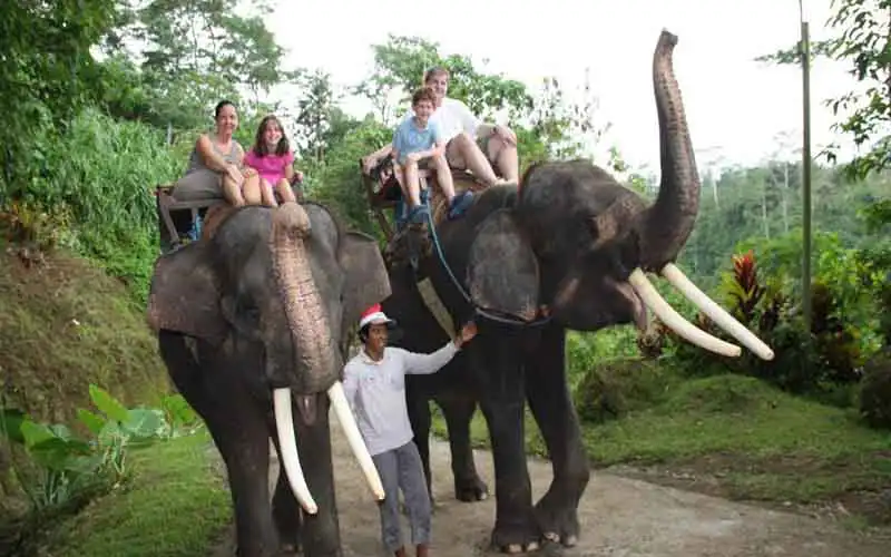 elephant ride